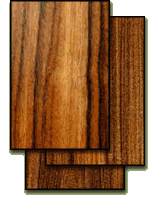 Pau Ferro